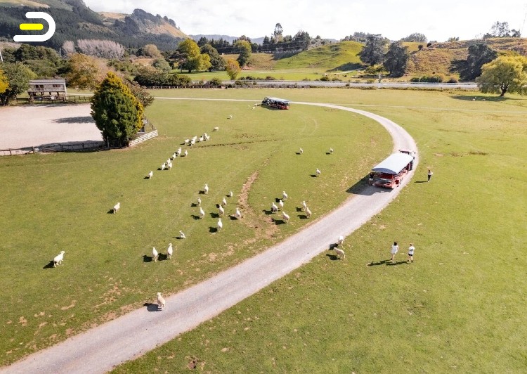 Agrodome Eco Farm & Orchard Tour 爱歌顿(Agrodome)农场之旅